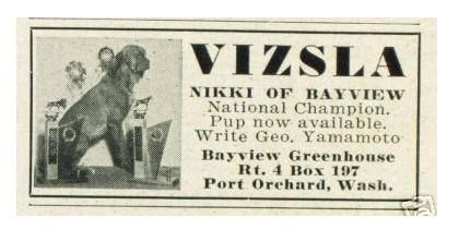 Image of Nikki of Bayview