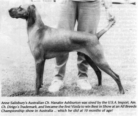 Image of Hanafor Ashburton