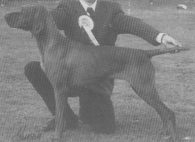 Image of Wicked Lady of Tragus