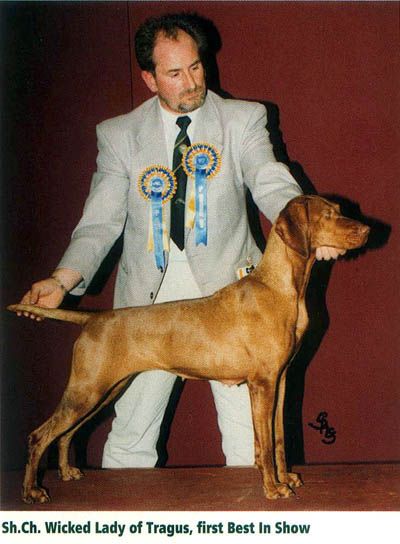 Image of Wicked Lady of Tragus