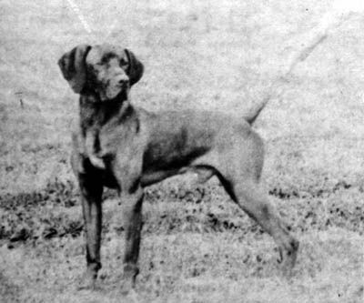 Image of Kingsbury Colin