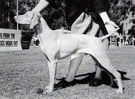 Image of Aranyoz Unchained Melody