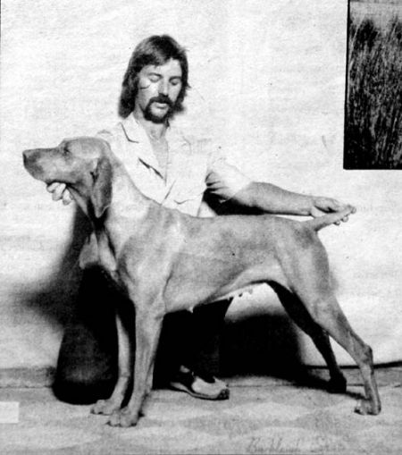 Image of Kingsbury Etelka