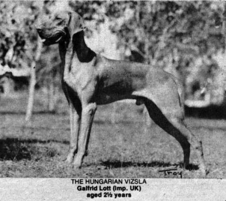 Image of Galfrid Lott