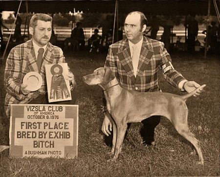 Image of Behi Csecse Gyors Lab