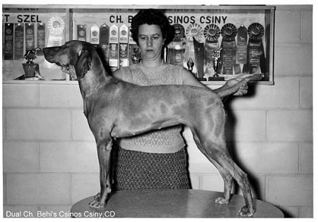 Image of Behi's Csinos Csiny