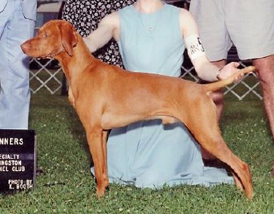 Image of Fernwood's Remington Ranger