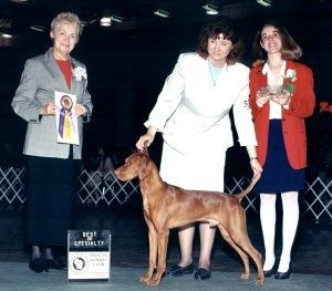 Image of Merlot's Butler Blue