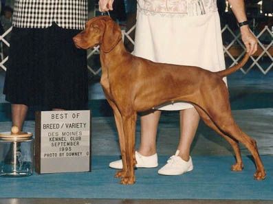 Image of Vizions Scarlet Ohara