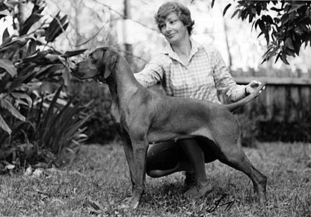 Image of Hanafor Hires Fruska