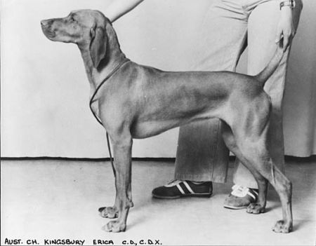 Image of Kingsbury Erica