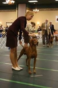 Image of Paradox Final Answer