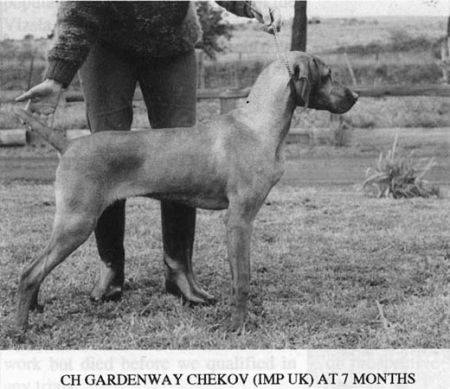 Image of Gardenway Chekov