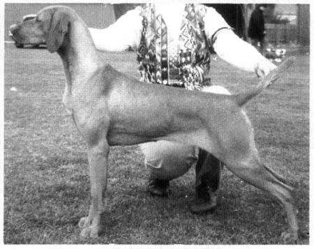 Image of Erdos Belle Sophia