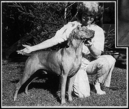 Image of Pretorium Ea Everus