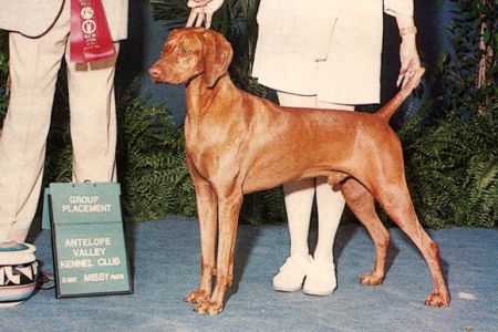 Image of Russet Leather Rawhide