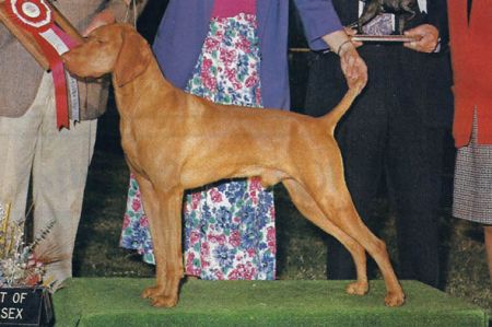 Image of Russet Leather War Cloud