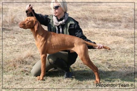 Image of Tibor Pepperoni Team