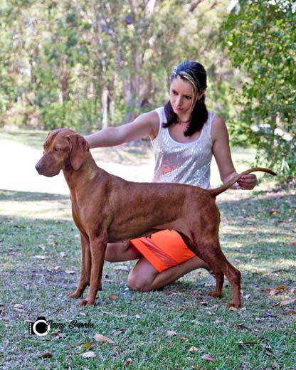 Image of Kimlise La Cygne