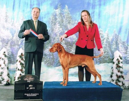 Image of Ourdream's Star Spangled Banner