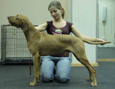 Image of Gern Gross Pirosmani