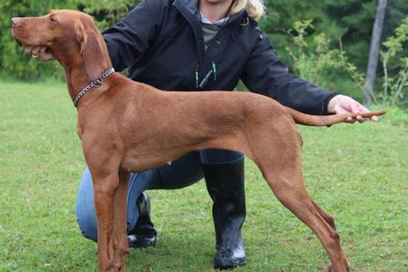 Image of Lina Jantar Devil