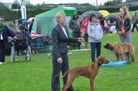 Image of Risley Poetry in Motion