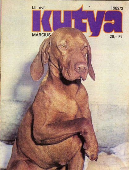 Image of Csatárkai Cudar