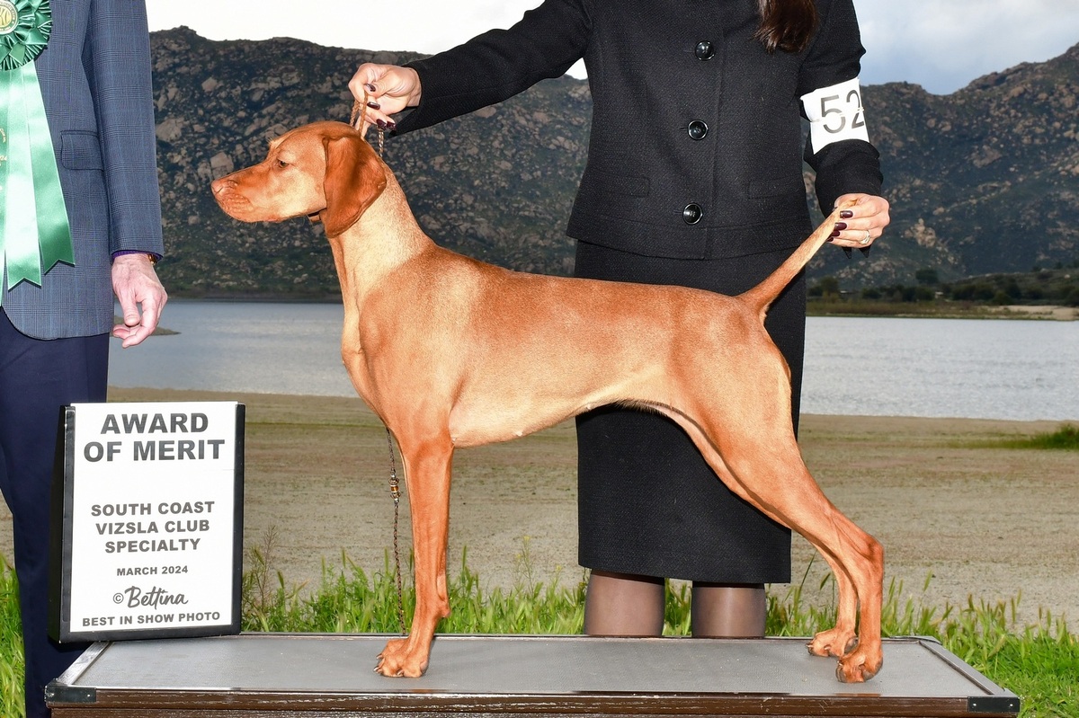 Image of Hrq Check Me Out