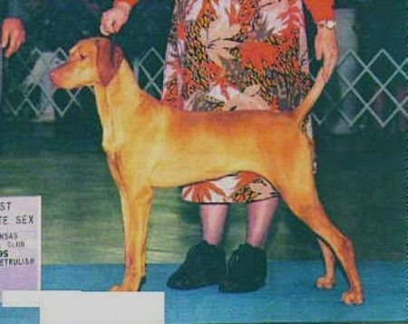 Image of Vizcaya's Ayame Ritz