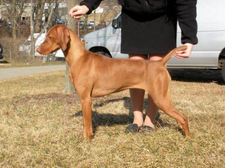 Image of Rhapsody's For Your Eyes Only