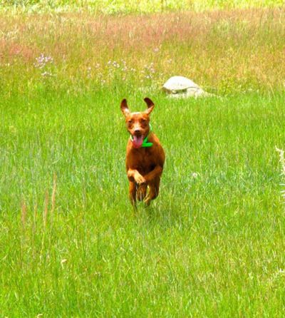 Image of Rhapsody's For Your Eyes Only