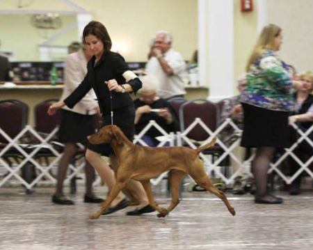 Image of Moonlight's Rock'n In The Free World