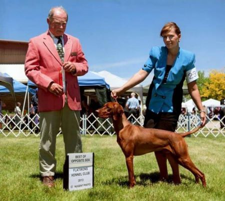 Image of Moonlight's Old Time Rock'n Roll