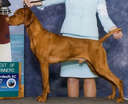 Image of Moonlight The Sky's The Limit