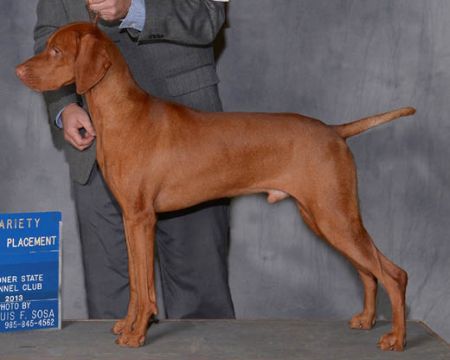 Image of Red Diamond Cimarron Pistol Pizzazz