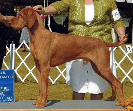 Image of Vizcaya's Time Of The Season