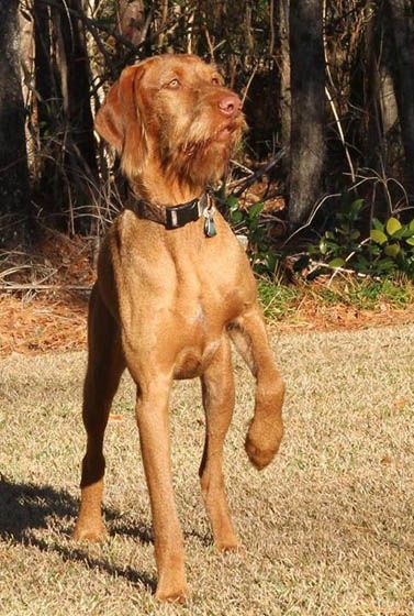 Image of Vizcaya's Time Of The Season