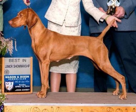 Image of Sassafras Play'n For Keeps