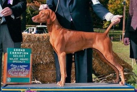 Image of Sassafras Keep On Dream'n