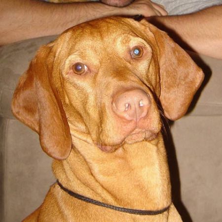Image of Vizcayas Inquiring Minds