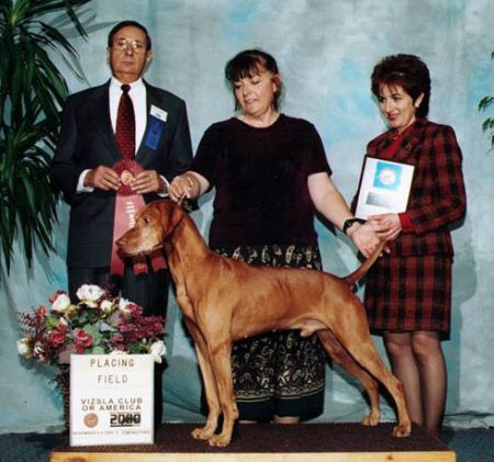 Image of Maximum Strider