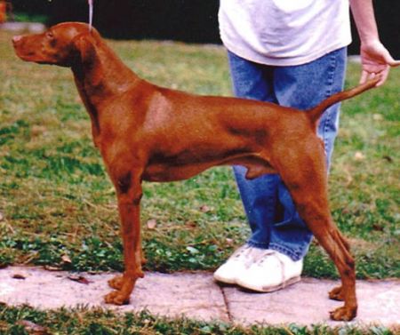 Image of Legacy's Rhythm-N-Blues