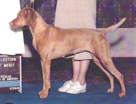 Image of Legacy's Cracklin Rosey