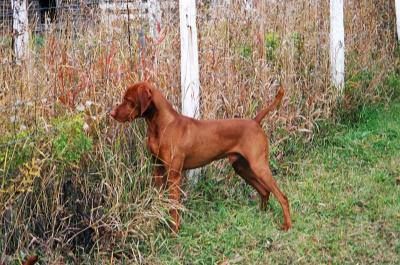 Image of Legacy's Leaps And Bounds