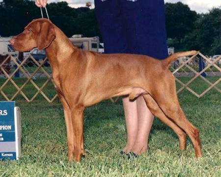 Image of Legacy's Turn Back Time