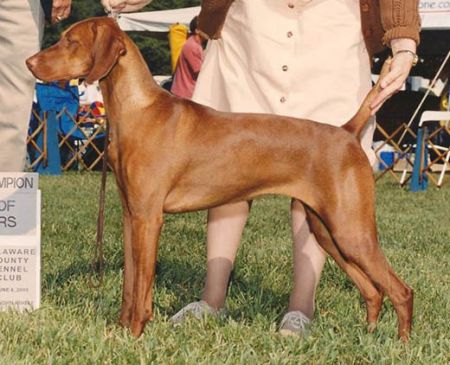 Image of Legacy's Tooooo Cute To Boot