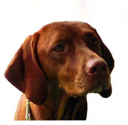 Image of Legacy's Simple Pleasures