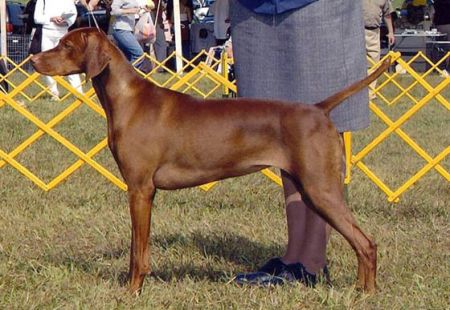 Image of Legacy's Simple Pleasures