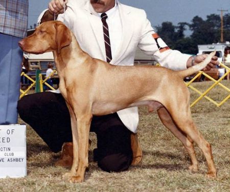 Image of Sagi's Legacy In Gold